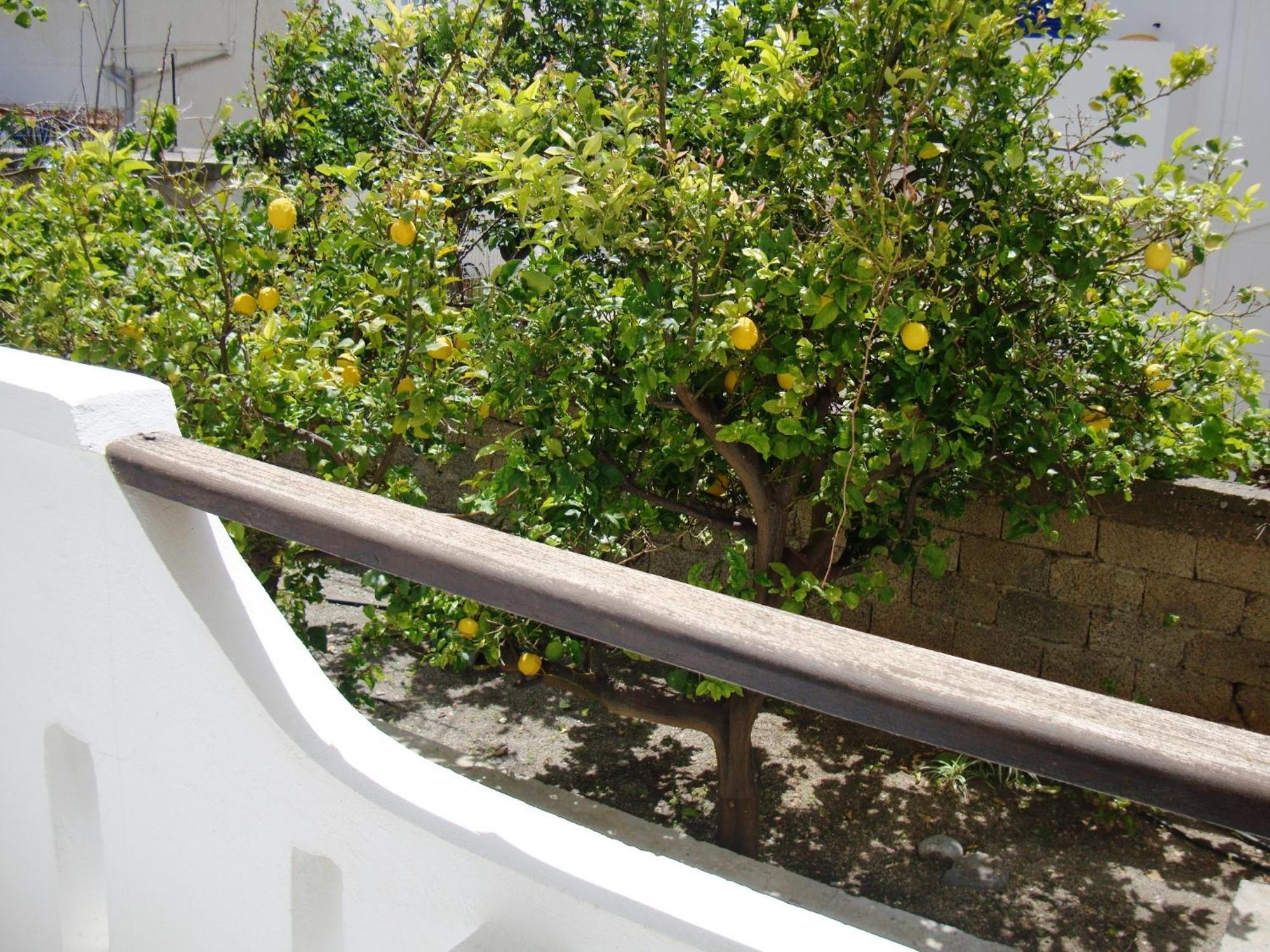 Artemis Studios Agia Roúmeli Exterior foto