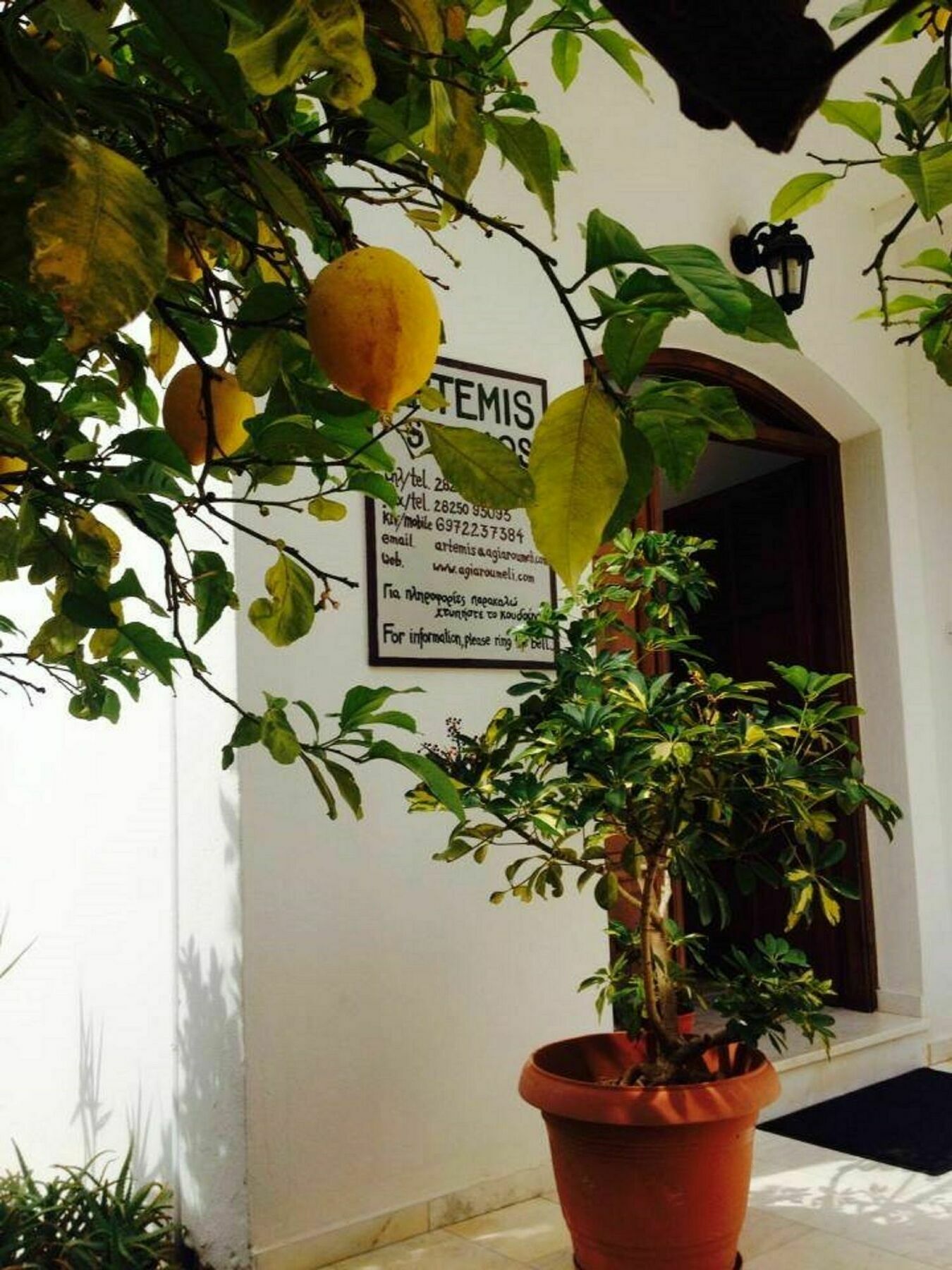 Artemis Studios Agia Roúmeli Exterior foto